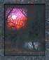 Borin Van Loon: Gothic thumb
