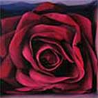 Borin Van Loon: 3D icon 5