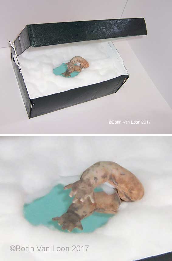 Borin Van Loon: Symbolically-functioning object