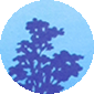 Borin Van Loon: Basket of light icon