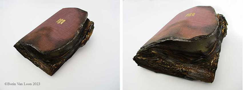 Borin Van Loon: Burnt book