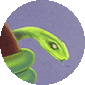 BorinVan Loon: Eden icon