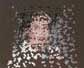 Borin Van Loon: Facemake 16 thumb