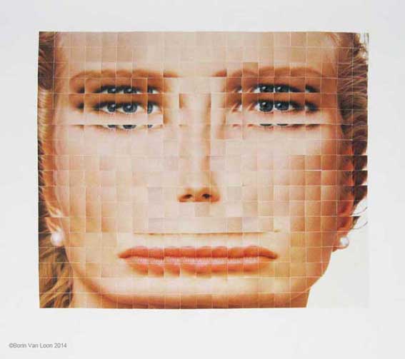 Borin Van Loon: Bone structure
