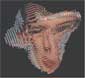Borin Van Loon: Facemake 3 thumb