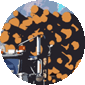 Borin Van Loon: Log jam icon 2